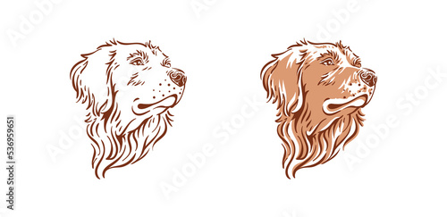 Golden retriever dog head illustration side view pet vector drawing 