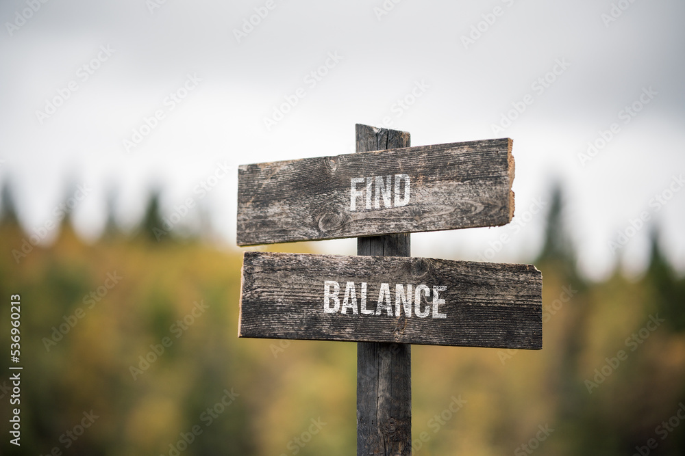 vintage and rustic wooden signpost with the weathered text quote find balance, outdoors in nature. blurred out forest fall colors in the background.
