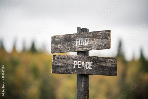 vintage and rustic wooden signpost with the weathered text quote find peace, outdoors in nature. blurred out forest fall colors in the background. photo
