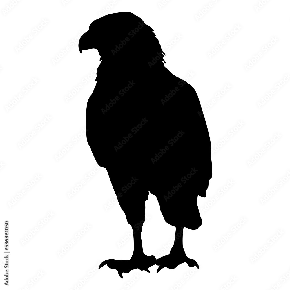 falcon silhouette falcon silhouette