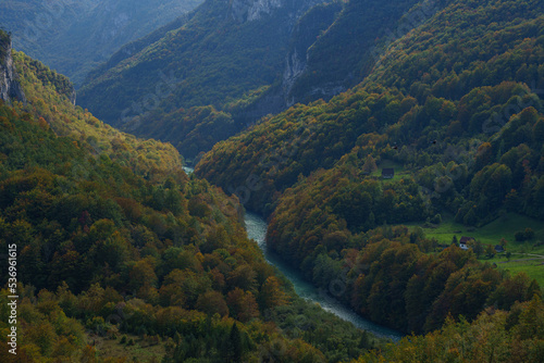 mountain river in autumn