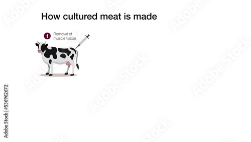 How cultured lab grown meat is made