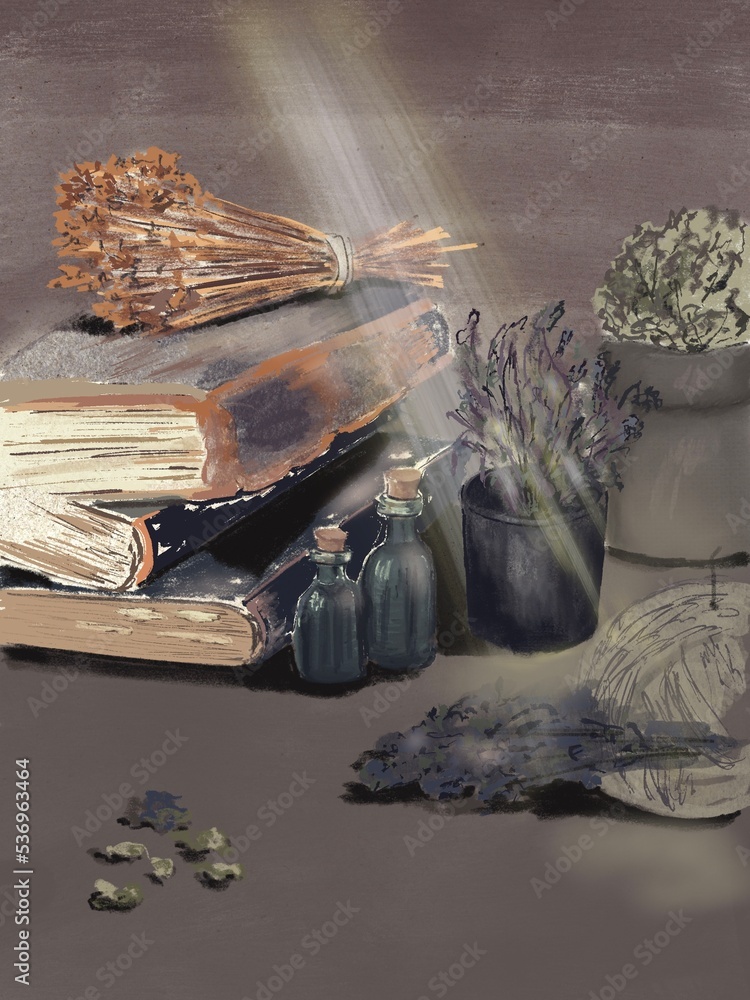 Dried berries flower grass Halloween room of witch bottles potion bag plant Dried berries flower grass Halloween room of witch bottles potion bag plant
