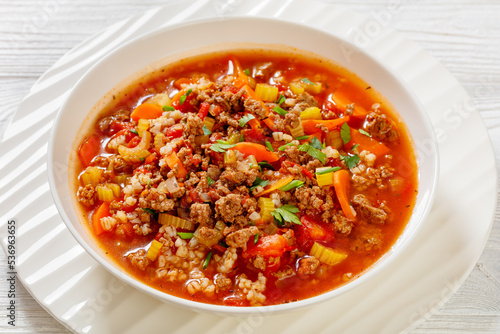 Hamburger Soup with barley and vegetables in bowl