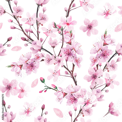 Watercolor Floral Sakura Seamless Pattern, Cherry Blossom Digital Paper Jpeg © Julia