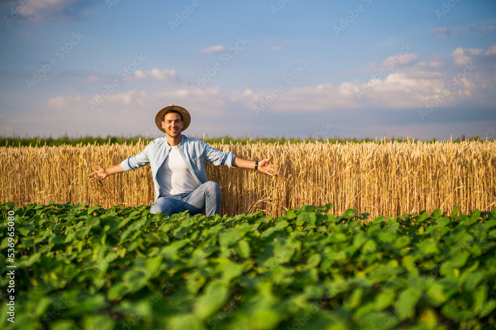 Fototapeta premium Happy farmer enjoys in his growing wheat and soybean field. 