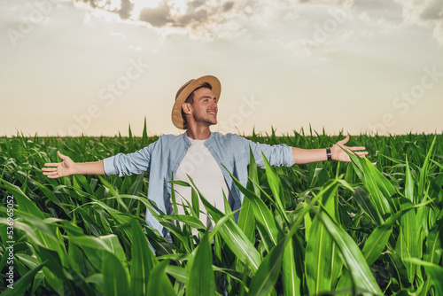 Happy farmer with arms outstretched standing in his growing corn field. 