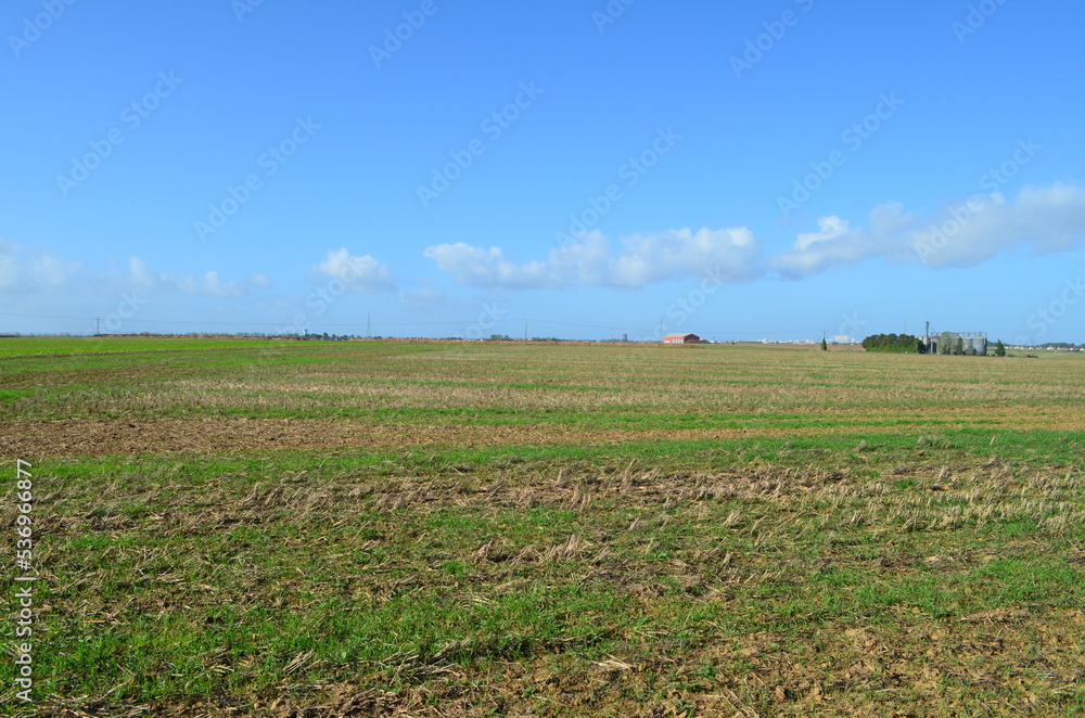 La plaine de Caen à Escoville (Calvados - Normandie - France) La plaine de Caen à Escoville (Calvados - Normandie - France)