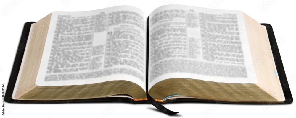 Fototapeta premium Opened big book isolated on white