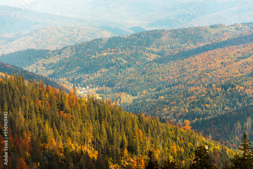 Fototapeta Naklejka Na Ścianę i Meble -  Beautiful mountain valley. Autumn landscape. Sopotnia Wielka, Poland