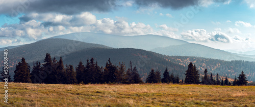 A view of the peaks of the Beskid Żywiecki mountain range. A meadow in the foreground. Rysianka, Poland