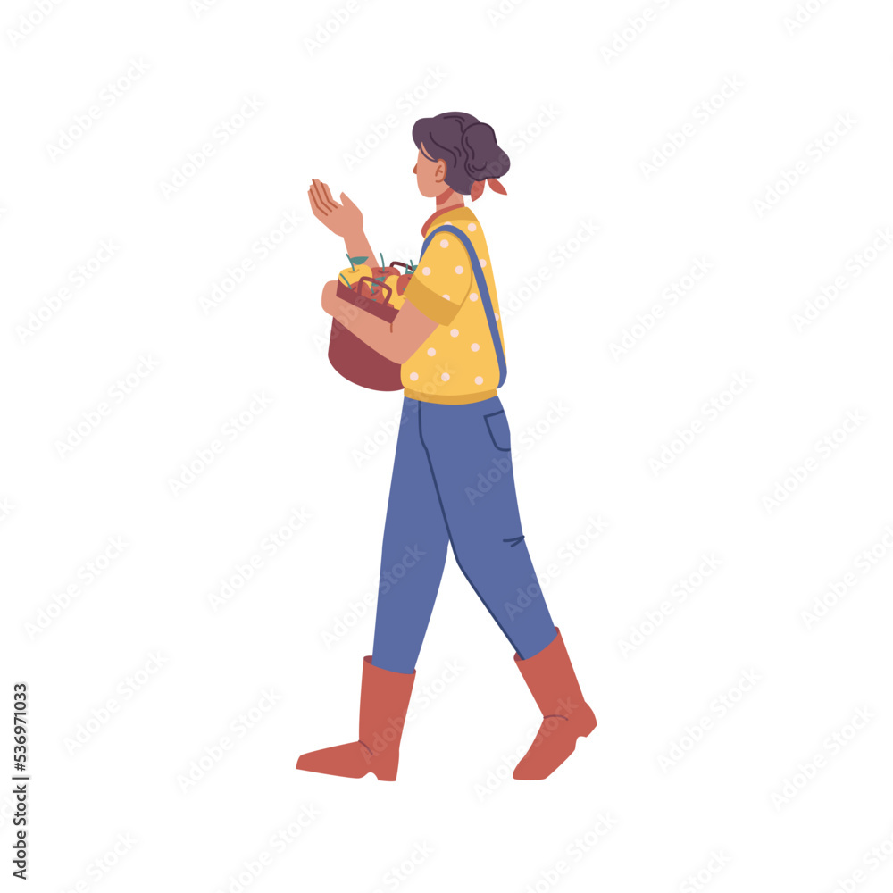 Harvesting farmer woman with basket of ripe fresh apples. Isolated female character picking fruits in garden, agricultural business. Vector in flat cartoon style Harvesting farmer woman with basket of ripe fresh apples. Isolated female character picking fruits in garden, agricultural business. Vector in flat cartoon style