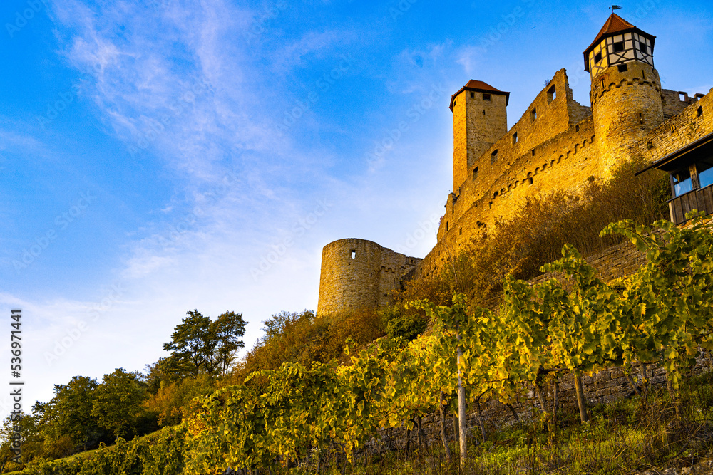 Winery Burg Hornberg am Neckar