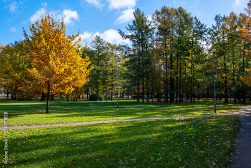 Empty autumn city park