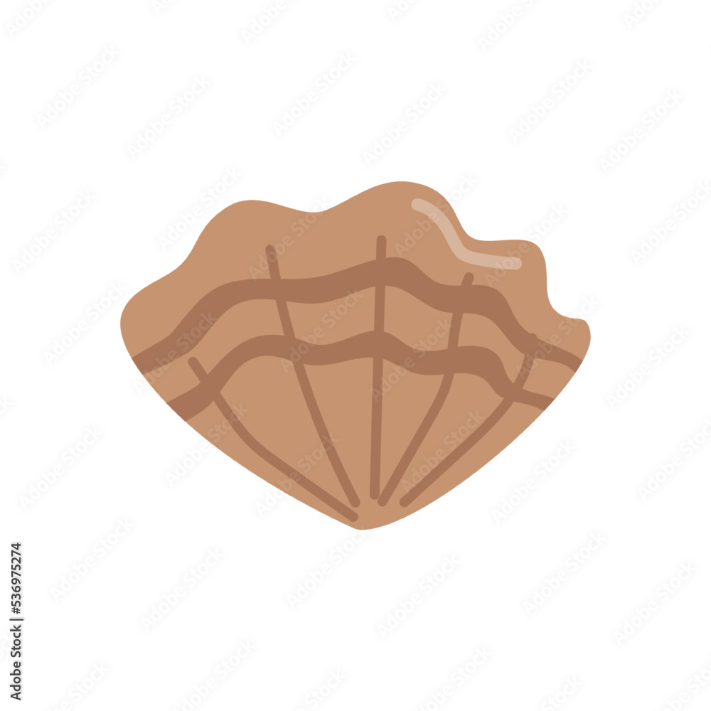 Tropical shell, isolated underwater creatures, ocean and sea dwellers. Environment of underwater life. Animals for aquarium. Vector in flat cartoon style Tropical shell, isolated underwater creatures, ocean and sea dwellers. Environment of underwater life. Animals for aquarium. Vector in flat cartoon style