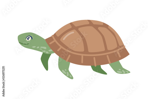 Tortoise animal, isolated slow moving reptile with leathery domed shell. Marine fauna and creature, nature and environment. Vector in flat cartoon style