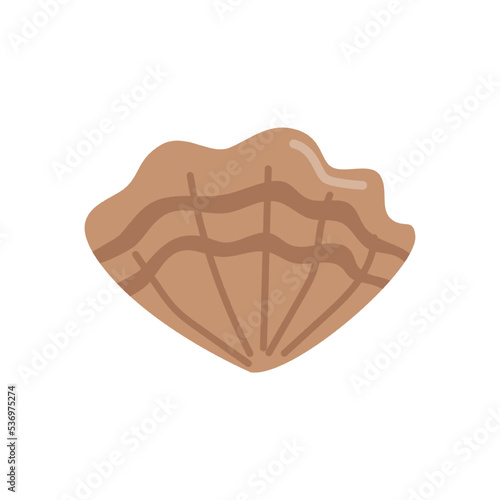 Tropical shell, isolated underwater creatures, ocean and sea dwellers. Environment of underwater life. Animals for aquarium. Vector in flat cartoon style