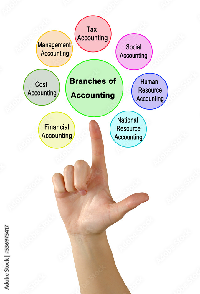 Presenting Seven Branches of Accounting Presenting Seven Branches of Accounting
