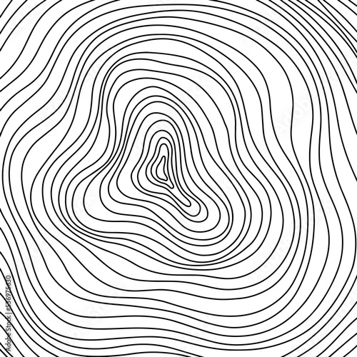 Abstract tree rings. Png topographic map concept background. Thin black lines on white 