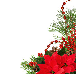 Christmas corner arrangement with pine twigs, red berries and poinsettia flowers isolated on white