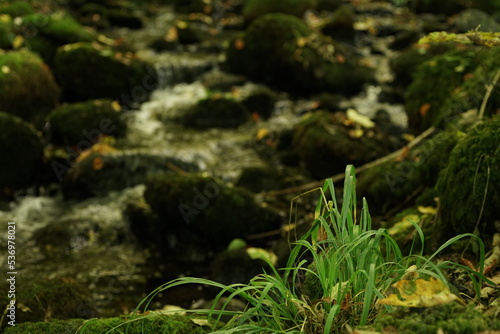 Fluss mit Laub und Blättern nach einem Fließgewässer