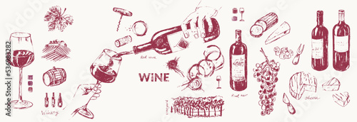 Hand drawn wine illustration set.