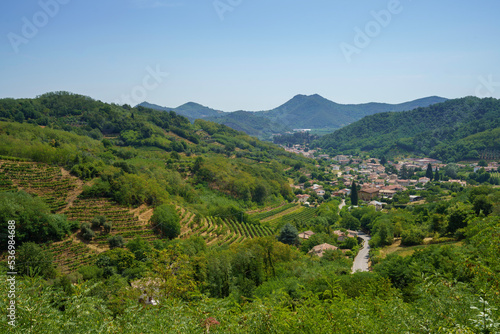 Cuadro en lienzo Summer landscape on the Colli Euganei, Padua, Italy