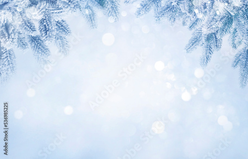 Beautiful abstract frosty winter background and snowy fir tree branches