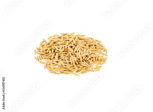 paddy rice   isolated on transparent png