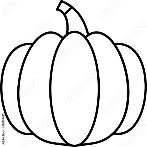 Pumpkin  © Nimble Web Solutions