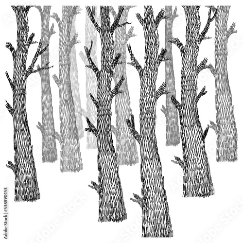 Hand drawn trees panoramic landscape, sketch, silhouette, black and white vector illustration.