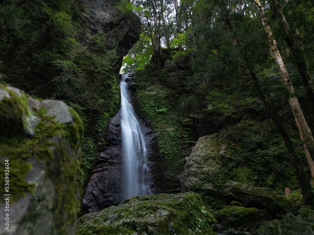 Obraz premium 日本の滝百選龍王の滝