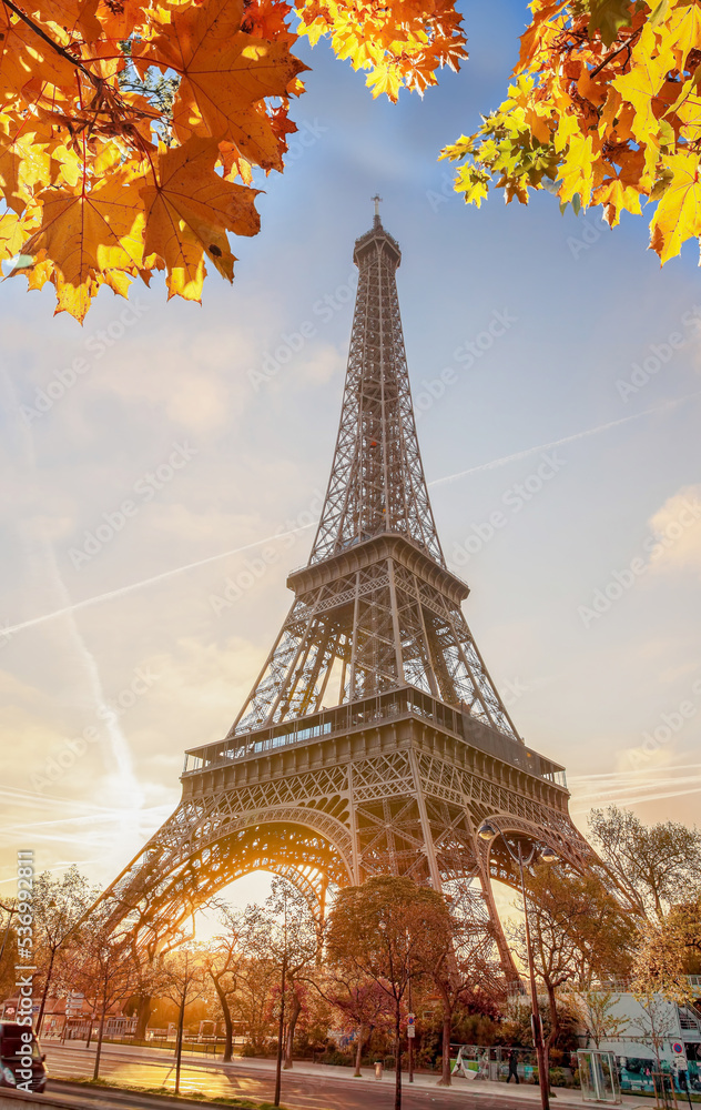 Eiffel Tower with autumn leaves against colorful sunset in Paris, France