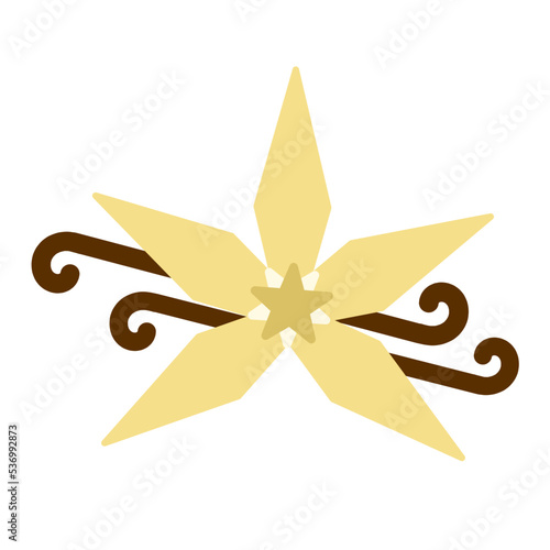 Flat design of vanilla flower vector