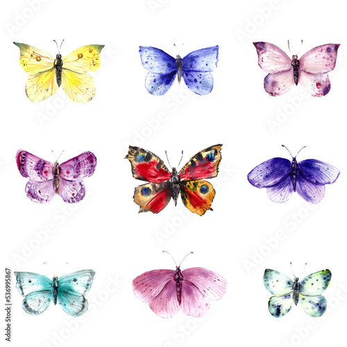 Hand drawn watercolor butterflies.