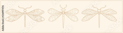 Art nouveau style dragonfly insect basic element. 1920-1930 years vintage design. Symbol motif design.
