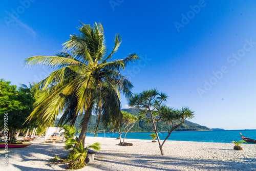 Tropical cocoinut palm tree on sea beach wave white sand summer vacation © themorningglory