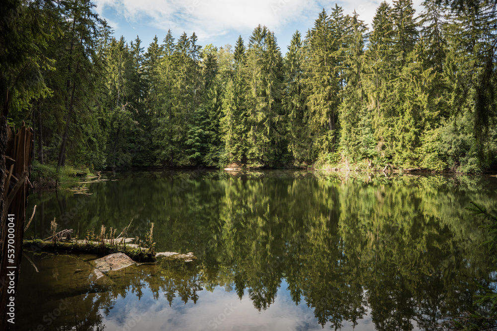 Beautiful tiny lake in the forest surrounded by trees Beautiful tiny lake in the forest surrounded by trees