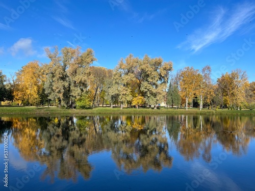 Autumn pond in the park, tree reflection on the pond surface, yellow and orange leaves on the tree