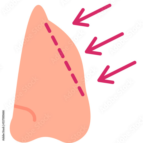 Rhinoplasty Icon