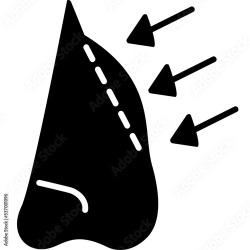Rhinoplasty Icon