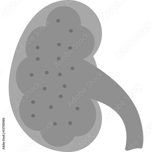 Kidney Icon