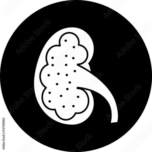 Kidney Icon