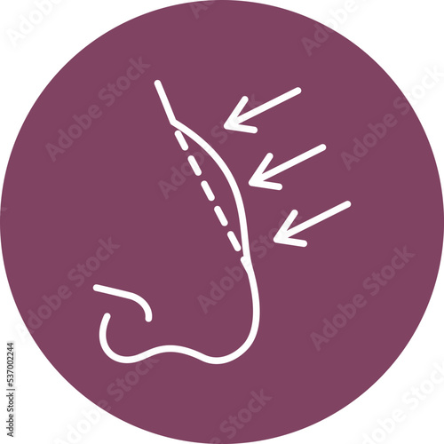Rhinoplasty Icon