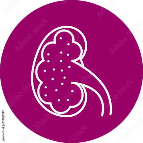 Kidney Icon