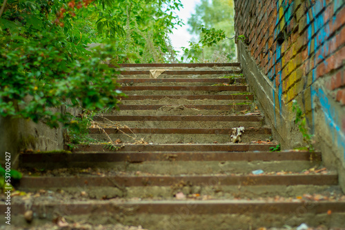 Close-up of a brick wall with remnants of color drawings and a concrete staircase in soft focus. Backdrop on the topic of a disadvantaged area and abandoned quarters of the city.