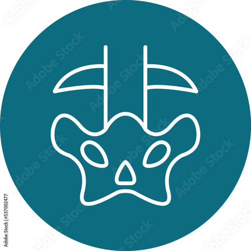 Pelvic bone Icon
