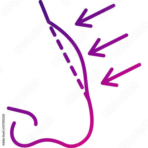 Rhinoplasty Icon