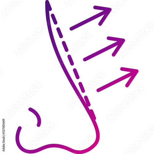 Nose Icon