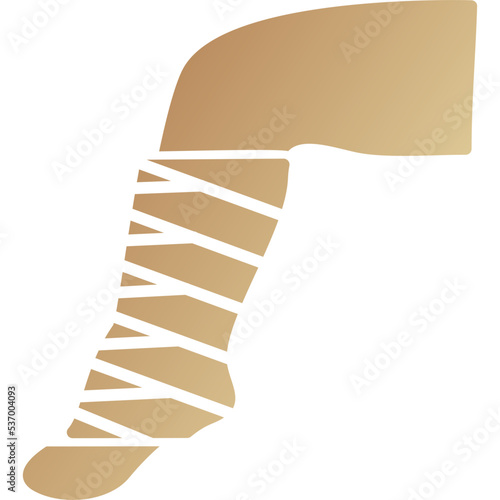 Orthopedic Icon